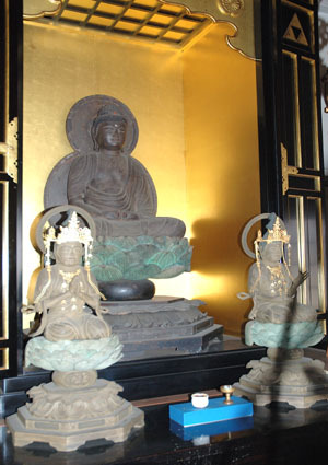 蓮華座の上に結跏趺坐する阿弥陀如来坐像の全体が写る写真