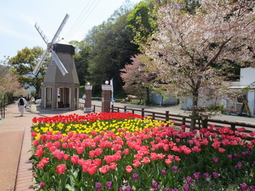 デ・レイケ公園チューリップまつり