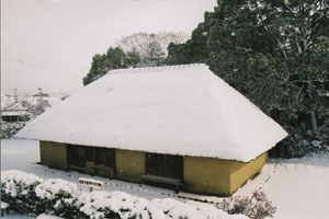 雪が積もっている旧長岡家住宅