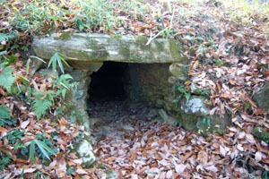 三島古墳群2号墳の石室の入り口の写真
