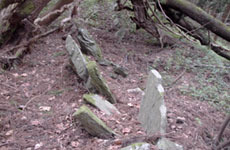 石尾神社 板状列石