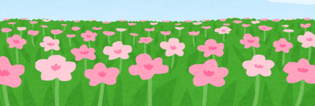 沢山のピンクの花の花畑のイラスト