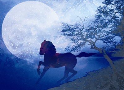 月夜に走る名馬「池月」のイラスト