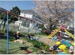 桜が満開の園庭のブランコなどの遊具で遊ぶこどもたちの画像