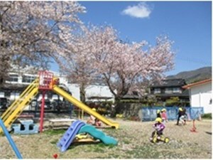 桜が満開の園庭で三輪車で遊ぶこどもたちの画像