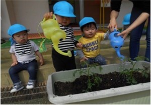 プランターに植えた野菜の苗にじょうろで水をあげる園児たちの様子
